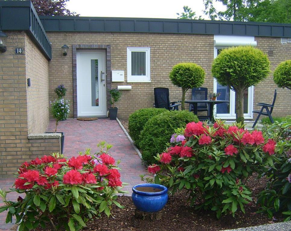 Ferienhaus "Pusteblume" 巴德茨维什安 外观 照片
